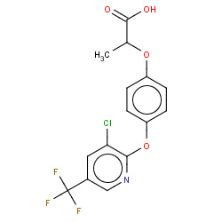 haloxyfop