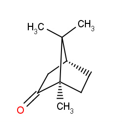 camphor