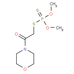 morphothion
