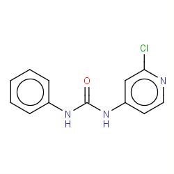 forchlorfenuron